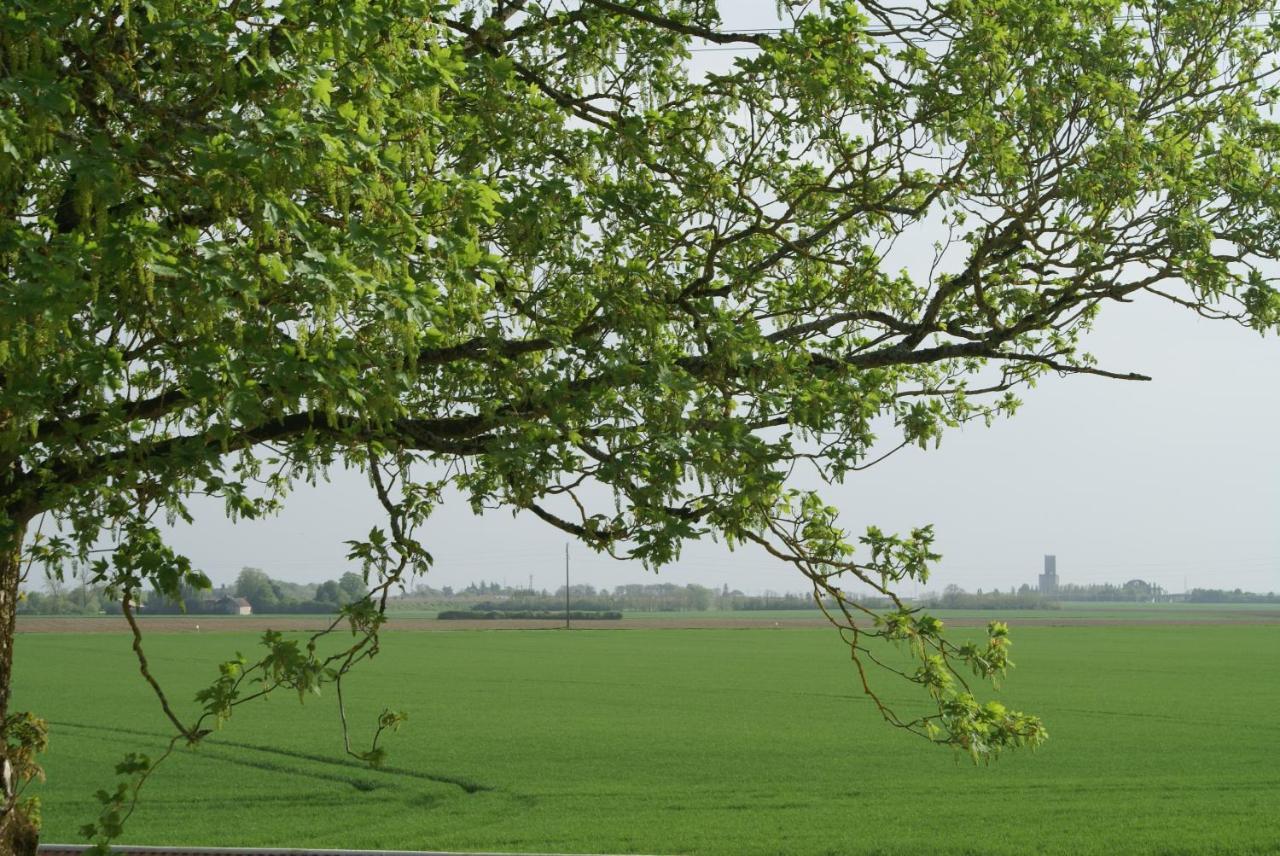 Ferme De Mesangeon Βίλα Beauvilliers  Εξωτερικό φωτογραφία